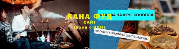 гашик Няндома
