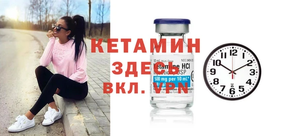 гашик Няндома