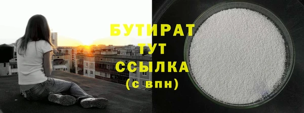 гашик Няндома