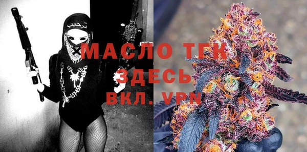 гашик Няндома