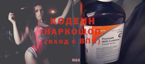 гашик Няндома