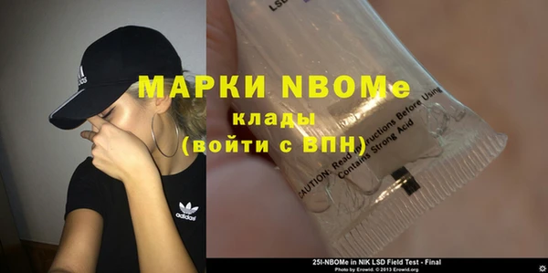 гашик Няндома