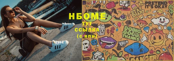 гашик Няндома