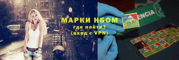 гашик Няндома
