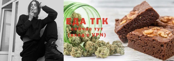 гашик Няндома