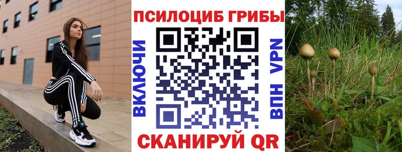 маркетплейс официальный сайт  Ак-Довурак  Псилоцибиновые грибы Magic Shrooms 